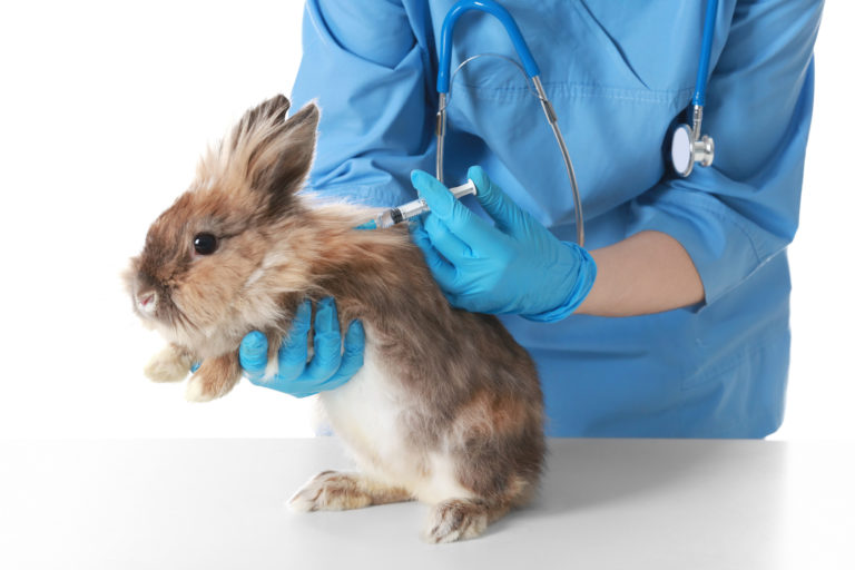 Očkovanie králikov