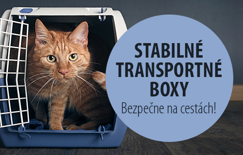 2019_04_Transport_Box_C_500x320_SK