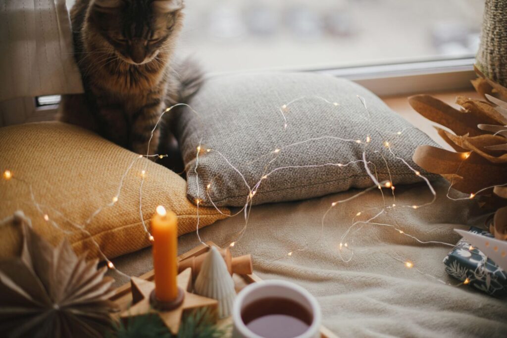 Zvedavá mačka pozerá na sviečku