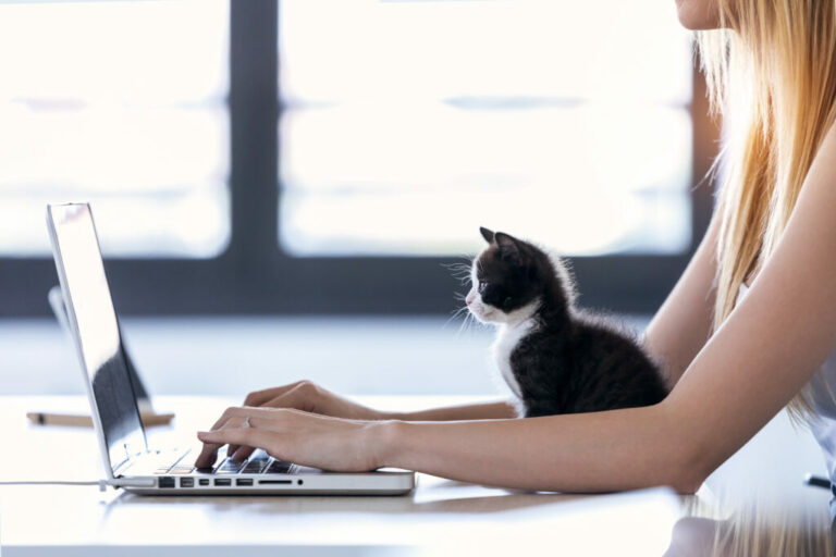 žena pracuje s notebookom a mačiatkom