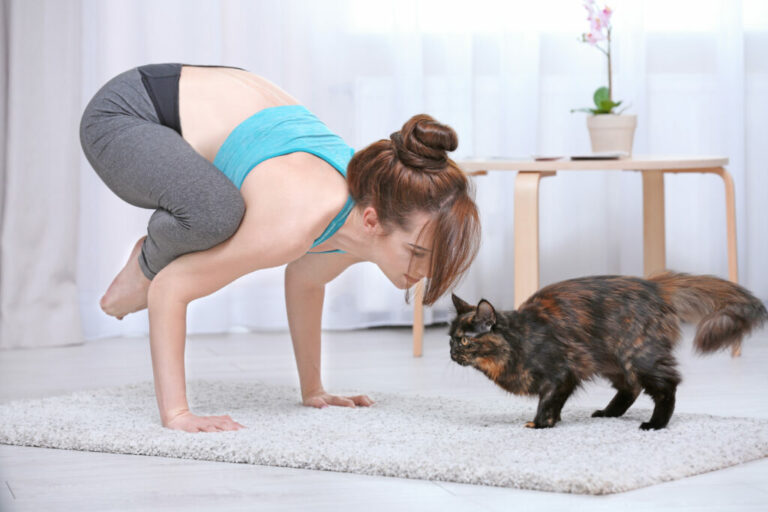 žena robí jogu s mačkou