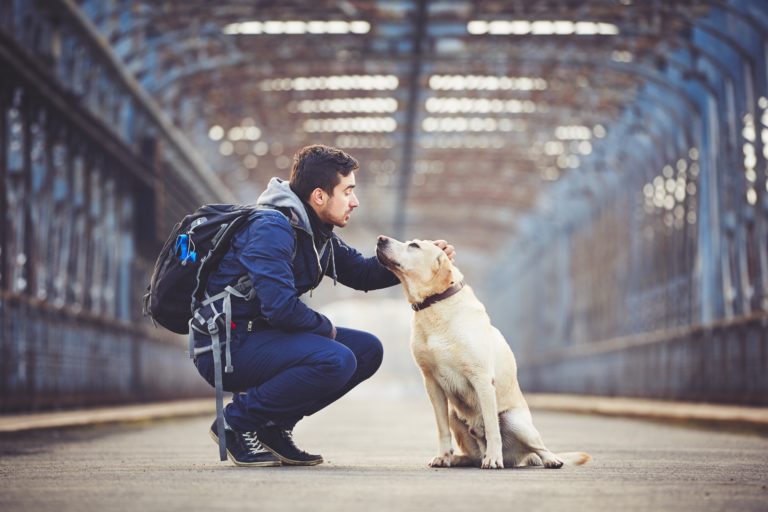 Muž so svojím žltým labradorským retrieverom na starom moste