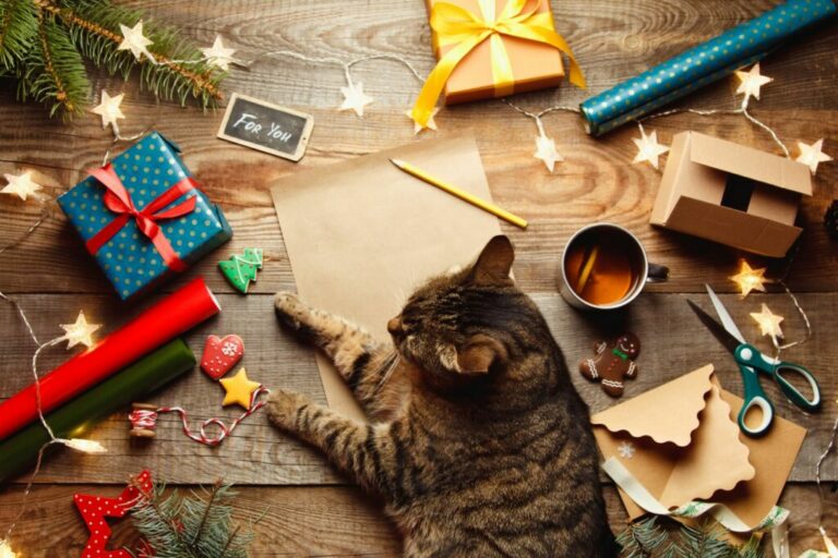 mačka a vianočné darčeky