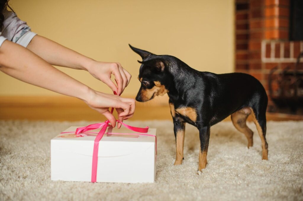 pes s darčekom
