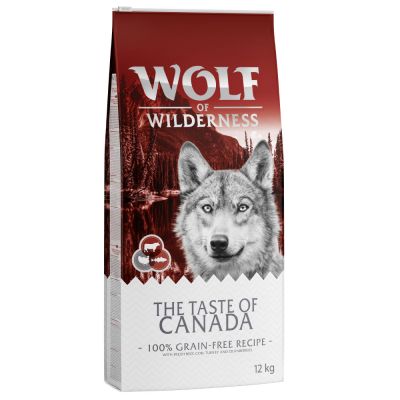 Wolf of Wilderness 
