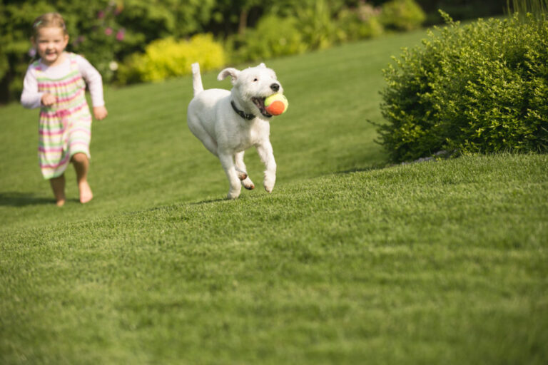 Pes beží s dieťaťom na trávniku
