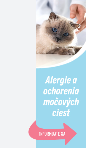 2023_08_HealthIssues_Left_290x500_SK