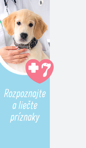 2023_08_HealthIssues_Right_290x500_SK